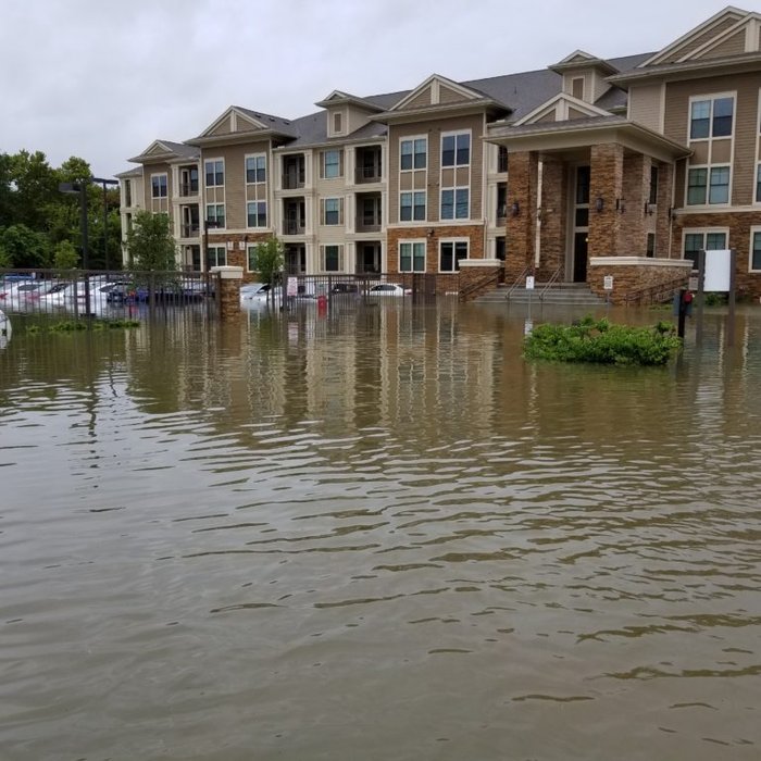 Houston on the road to Recovery after Harvey - Body Image 1