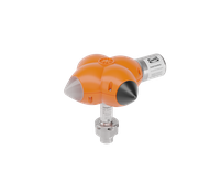 BIRD alone zoomed out