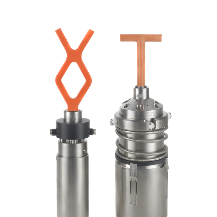 Continued success on Dalia - Body Image 1