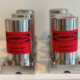 PIG Detection - Body Image 1